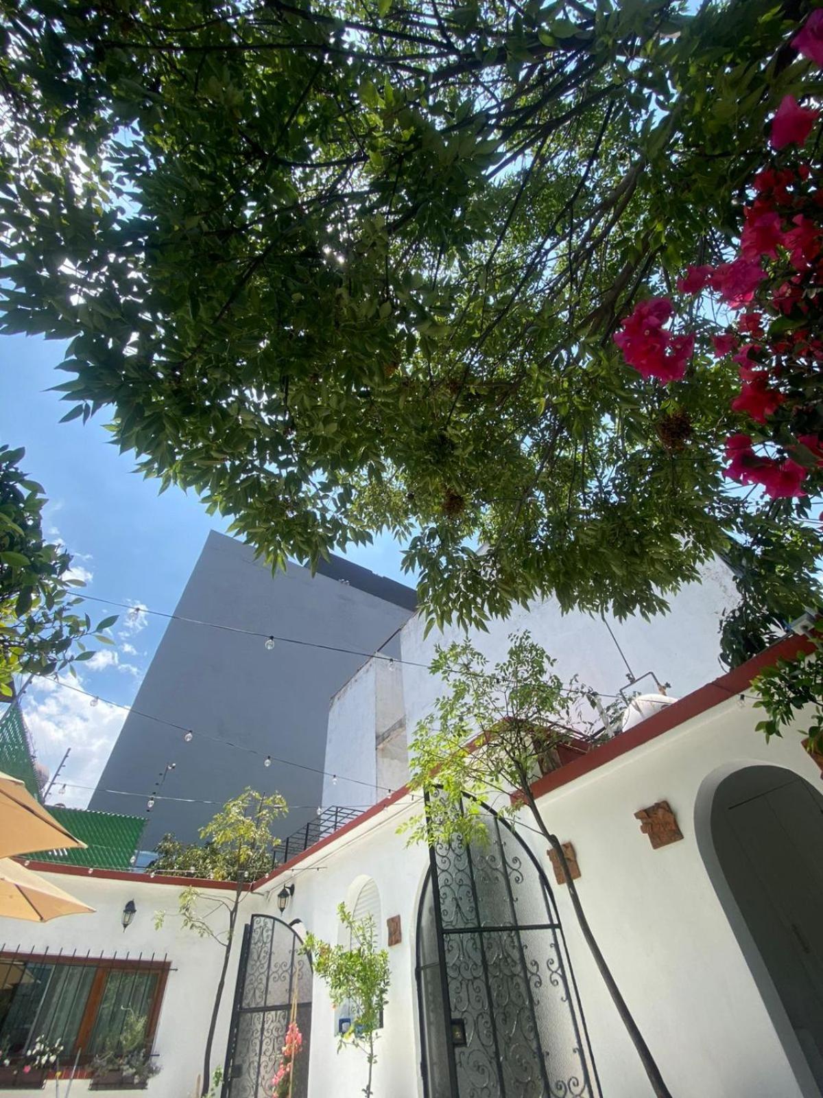 Nokal Exclusive Stay Mexico City Exterior photo