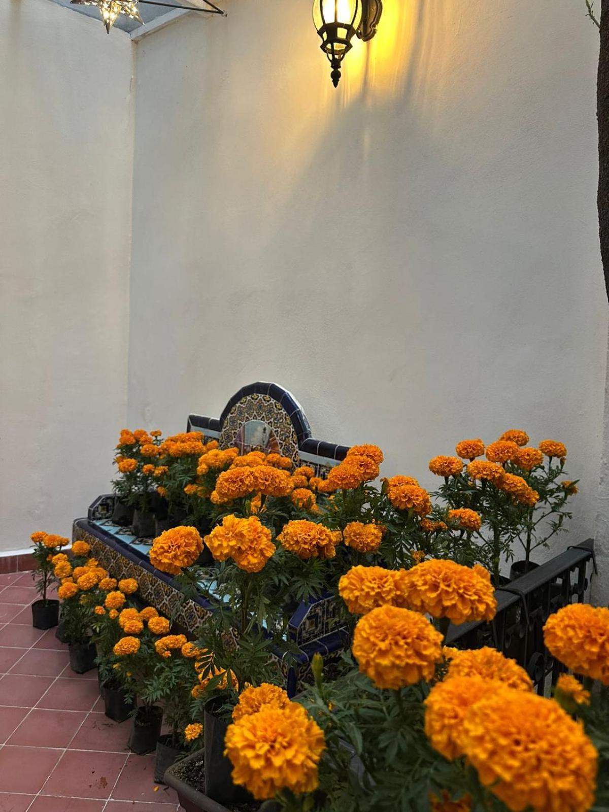 Nokal Exclusive Stay Mexico City Exterior photo