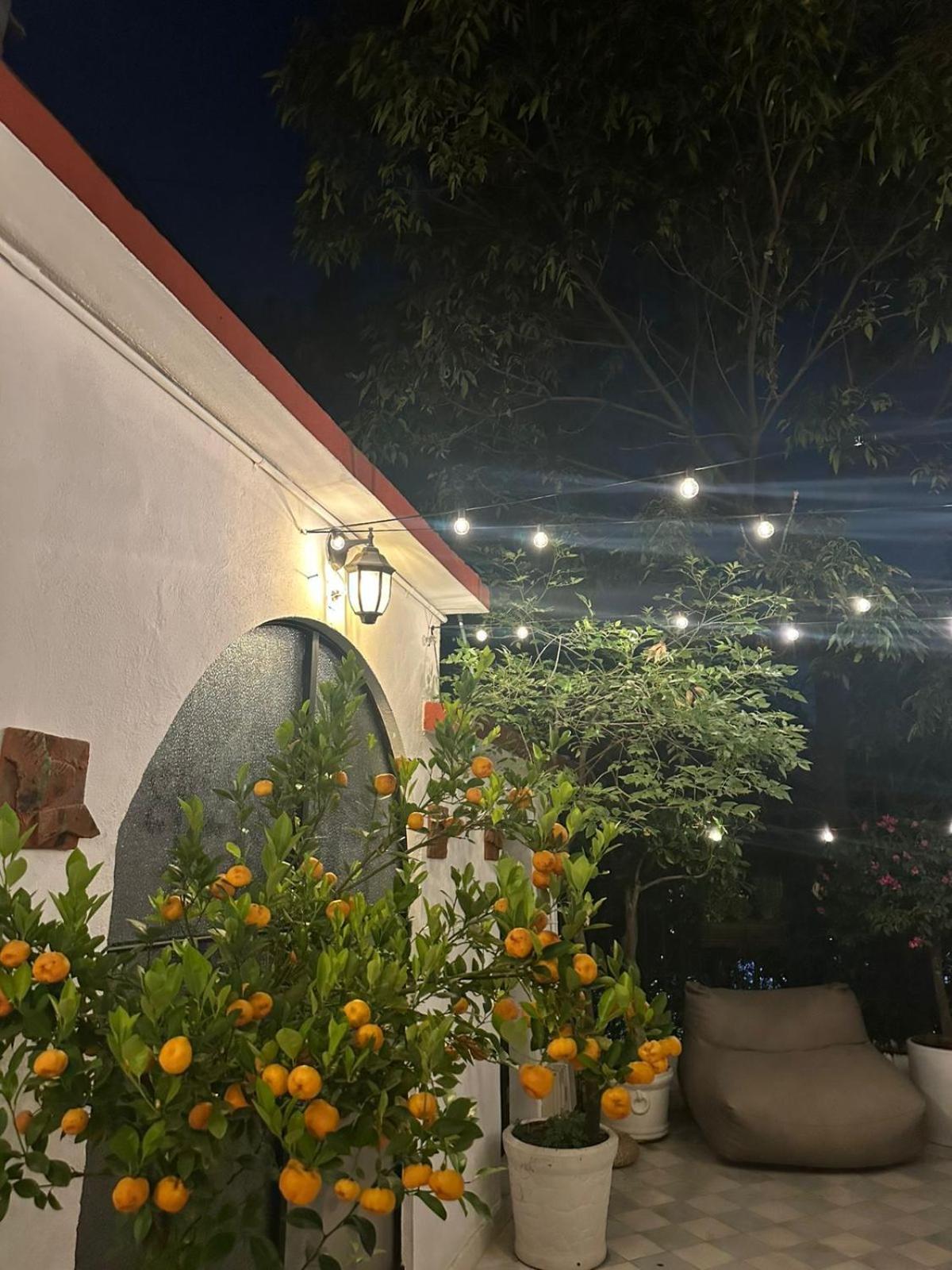 Nokal Exclusive Stay Mexico City Exterior photo